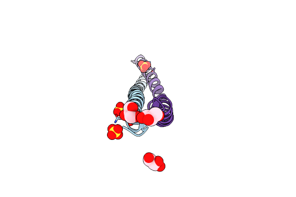 3TRT image