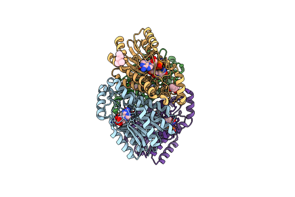 3TSC image