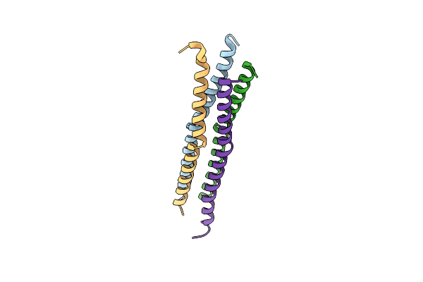 3TSI image