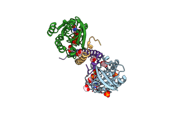 3TSO image