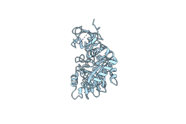 3TTG image
