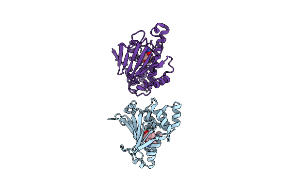 3TUH image