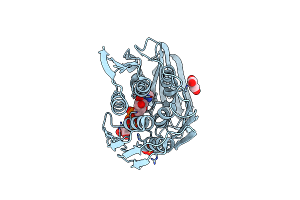3TUT image