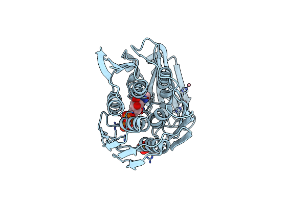 3TW3 image