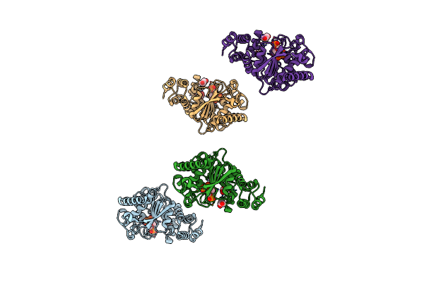 3TWP image