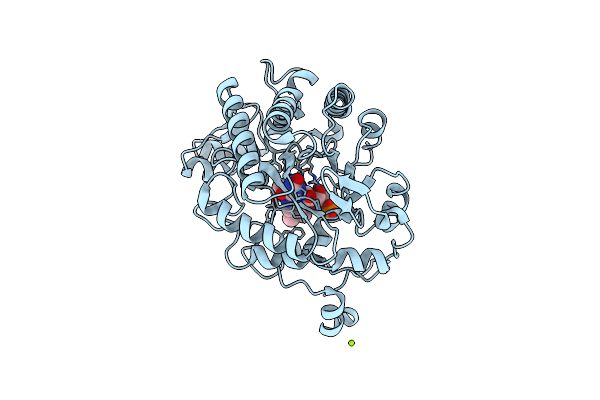 3TX9 image