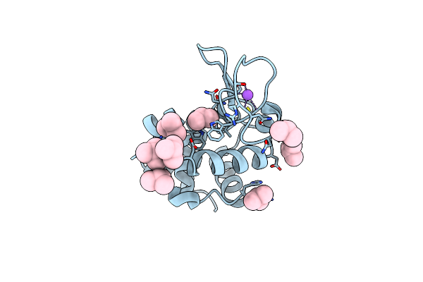 3TXE image