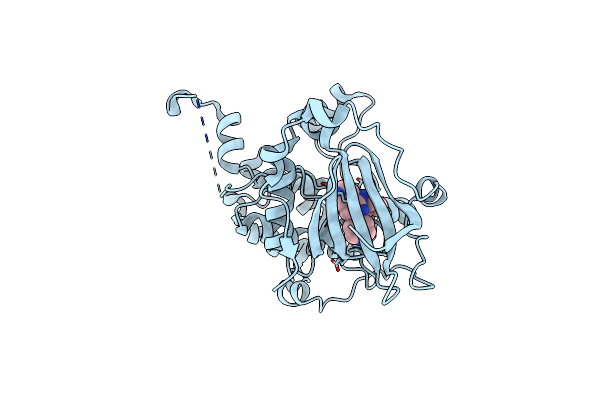 3TXO image