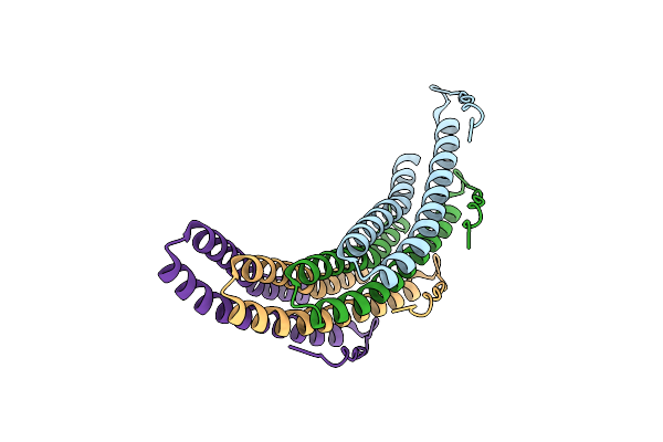 3TXS image