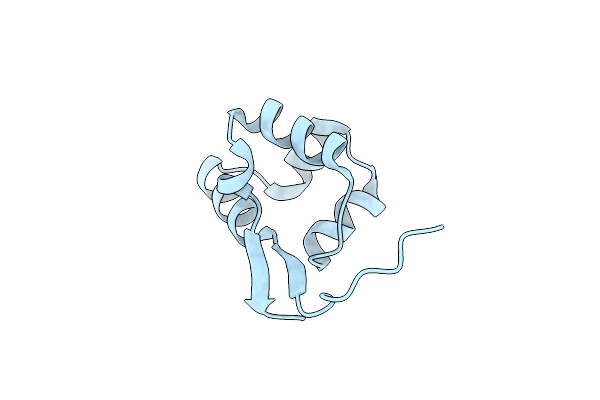 3TYS image