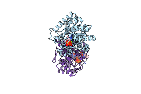3TZF image