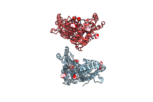 3TZZ image