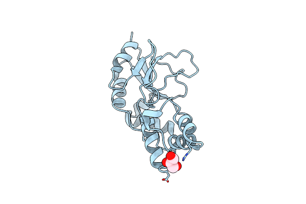 3U19 image