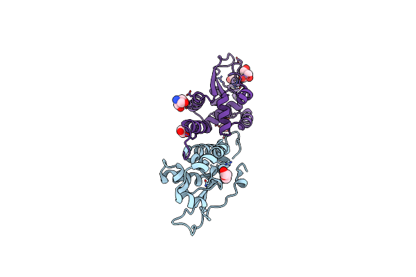 3U1D image