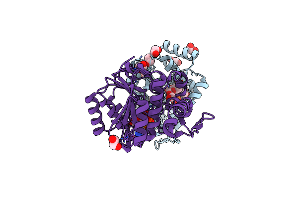 3U2X image