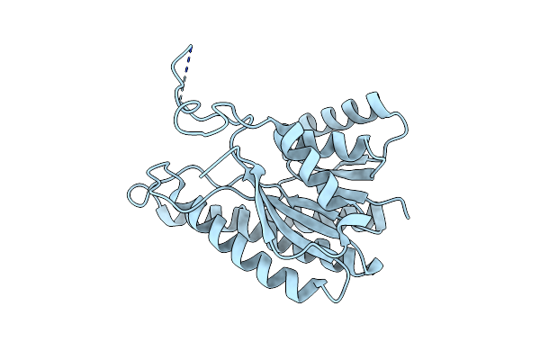 3U4D image