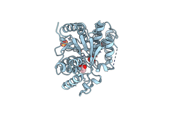 3U4G image