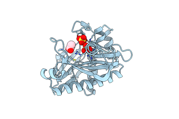 3U55 image