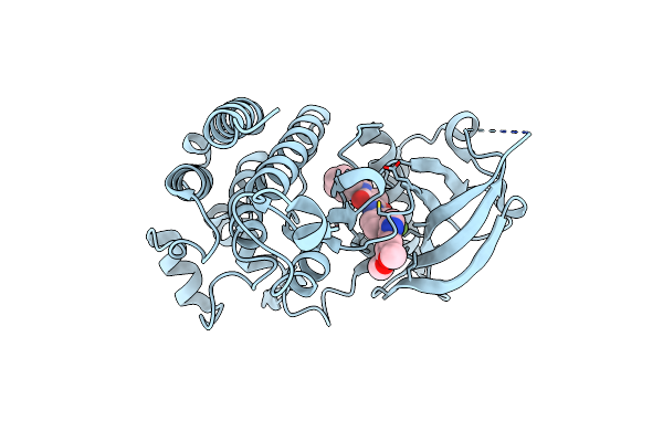 3U6J image