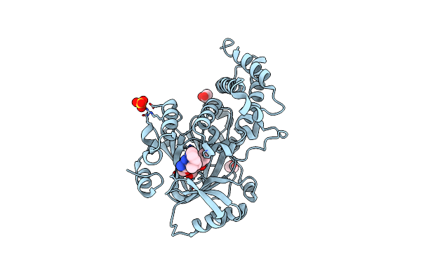 3U78 image