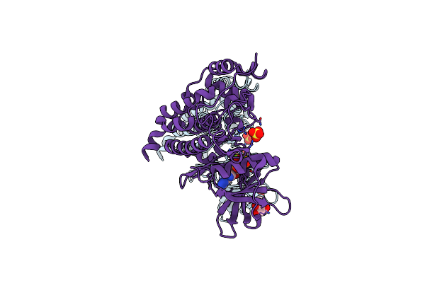 3U87 image