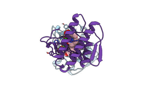 3U8D image
