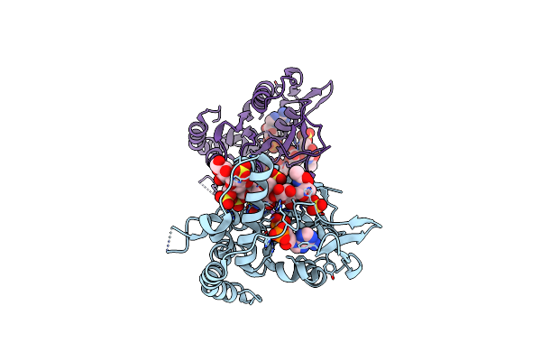 3UAN image