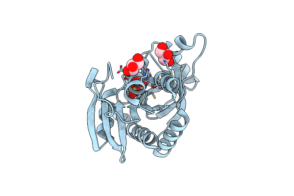 3UAZ image