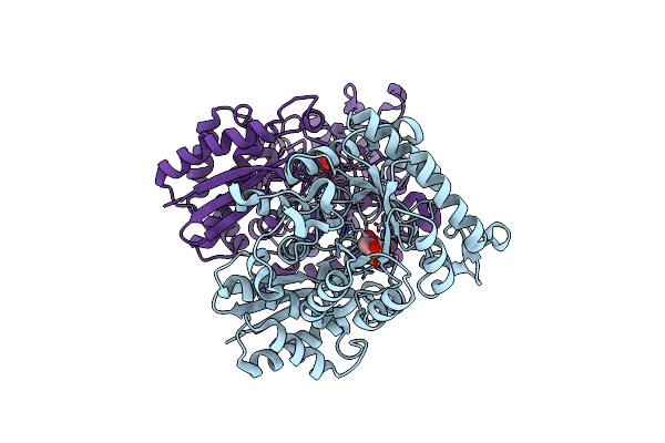 3UCD image