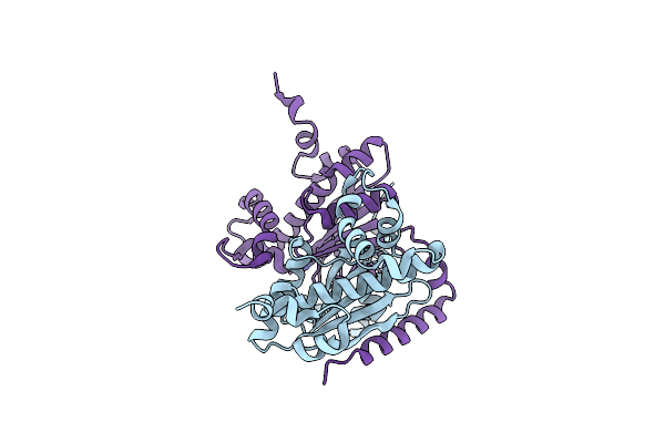 3UCO image