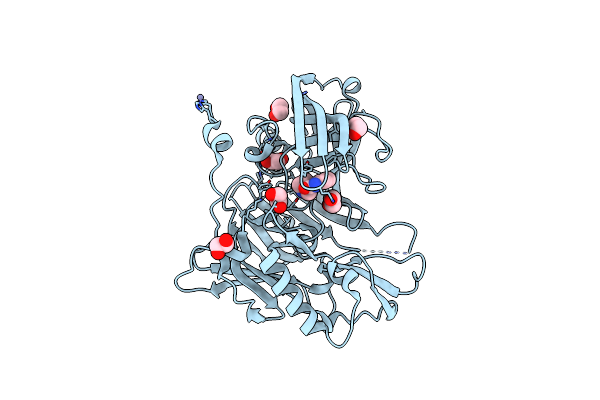 3UDH image