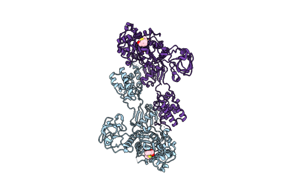3UDI image