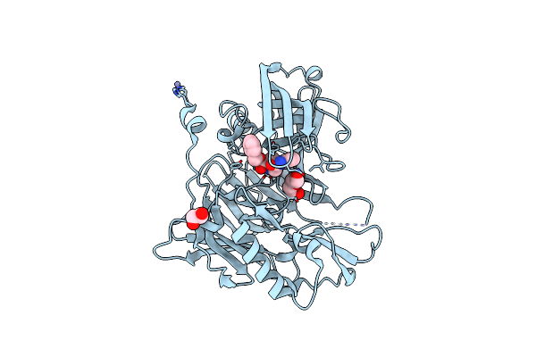 3UDM image