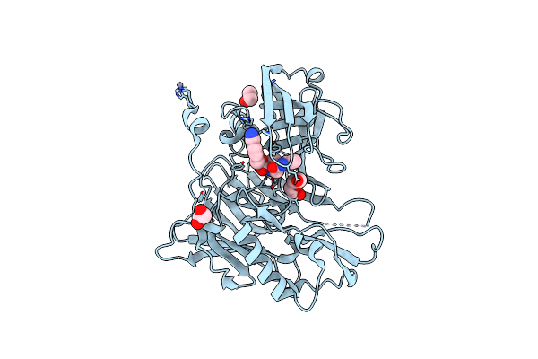 3UDN image
