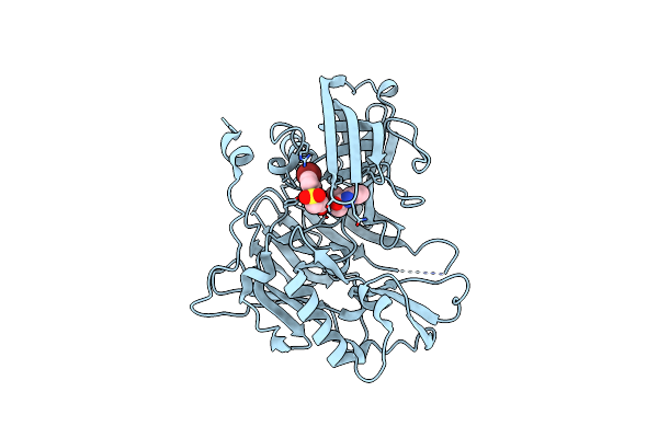 3UDQ image