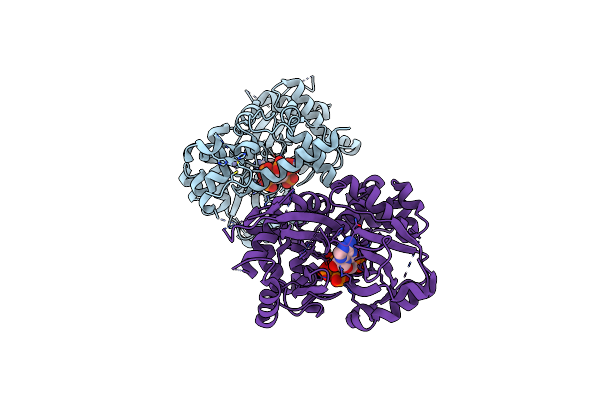 3UDT image