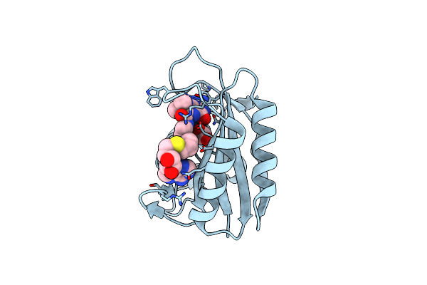 3UDV image