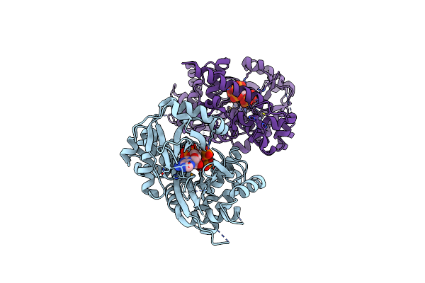 3UDZ image