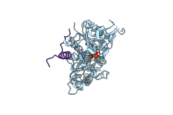 3UE5 image
