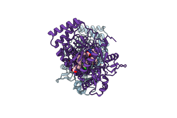 3UFS image