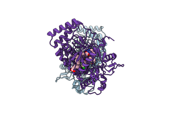 3UFT image