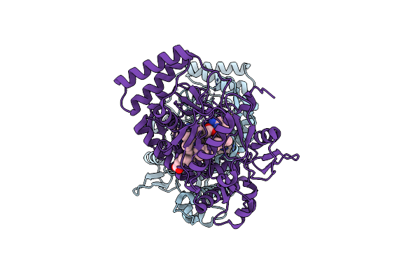 3UFV image