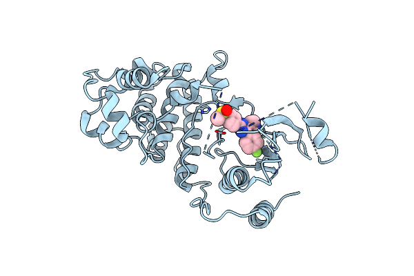3UIB image