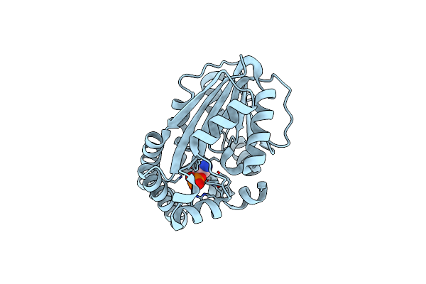 3UJA image