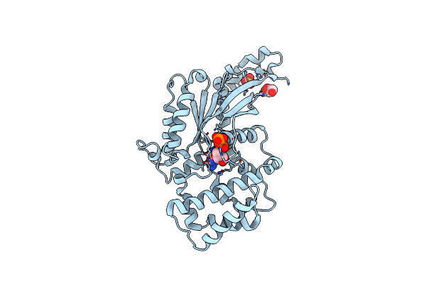 3UMR image
