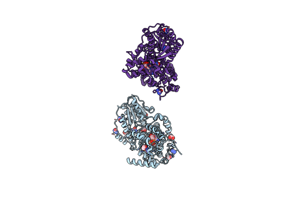 3UMV image