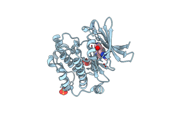 3UMW image