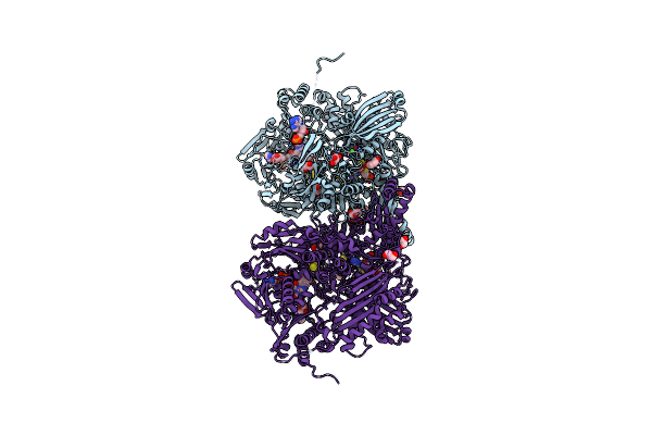 3UNA image