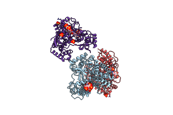 3UPF image
