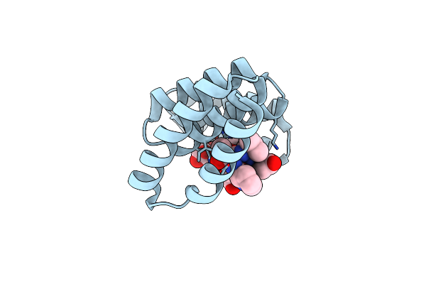 3UPV image